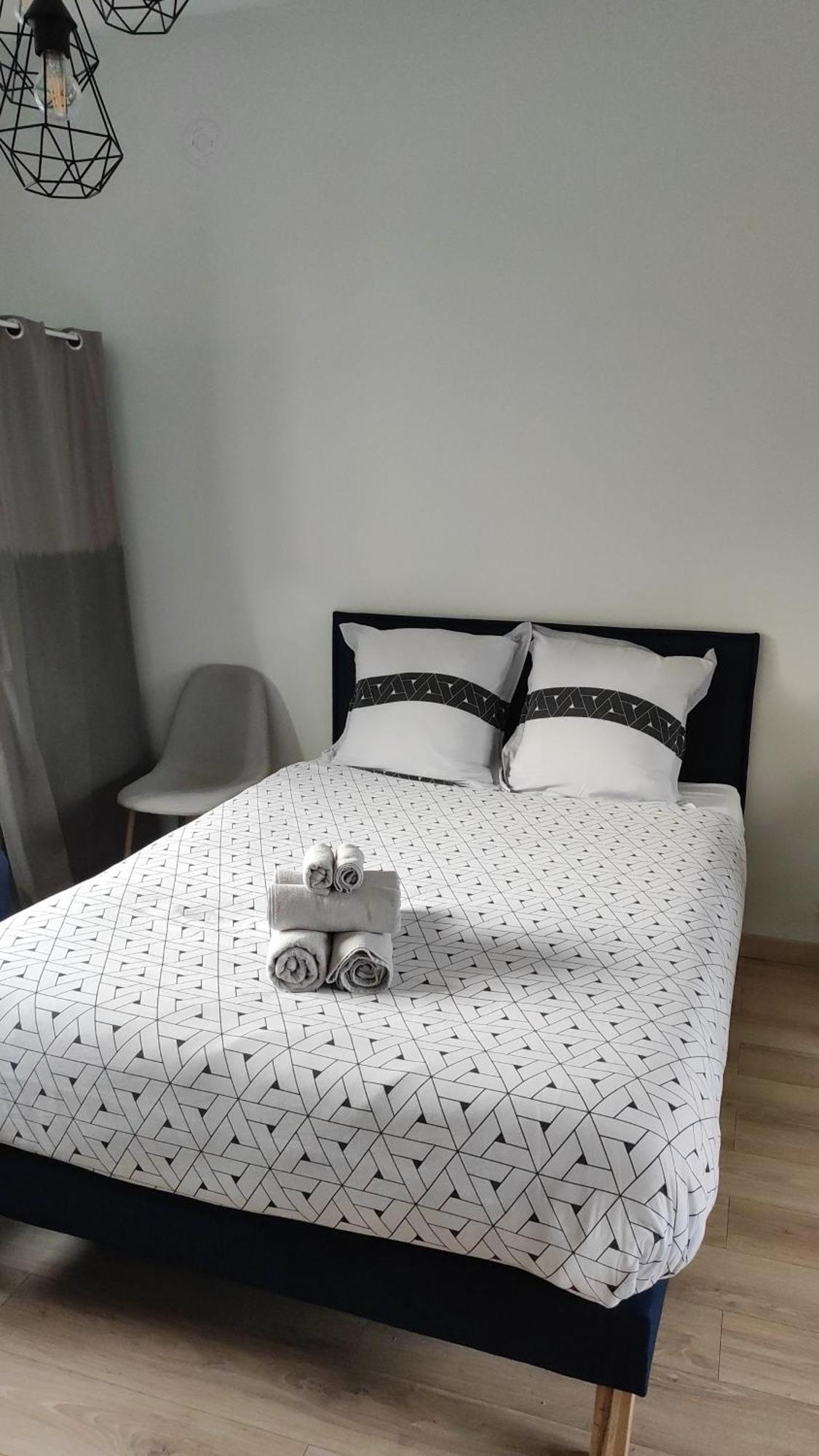 La Douce Angevine Apartment Angers Bagian luar foto