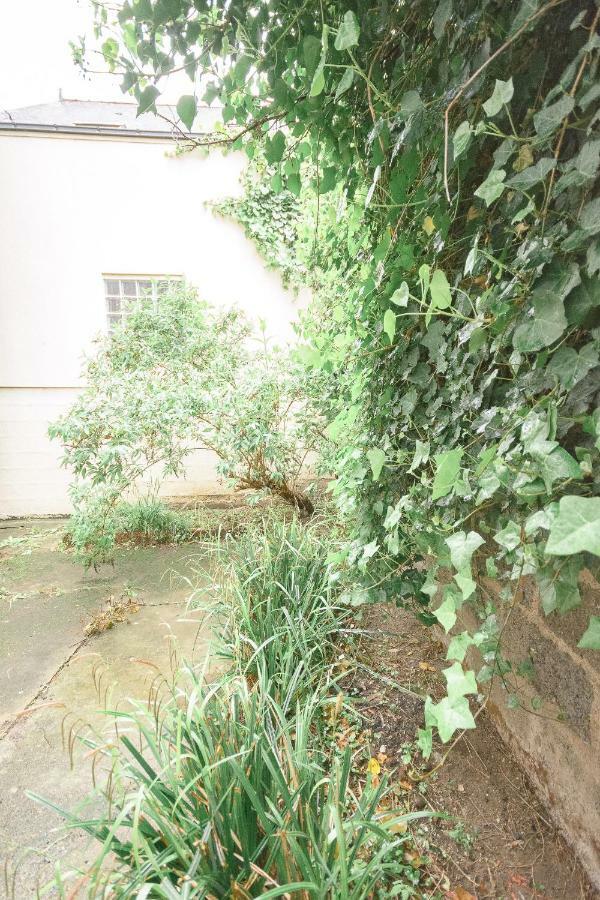 La Douce Angevine Apartment Angers Bagian luar foto