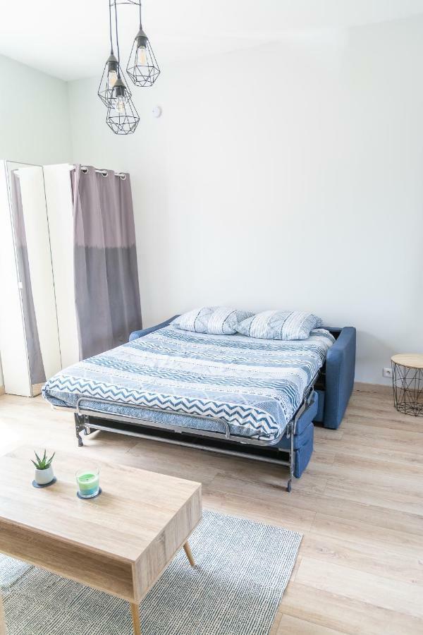 La Douce Angevine Apartment Angers Bagian luar foto